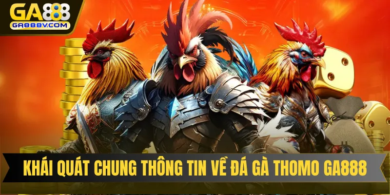 Khái quát chung thông tin về đá gà Thomo Ga888
