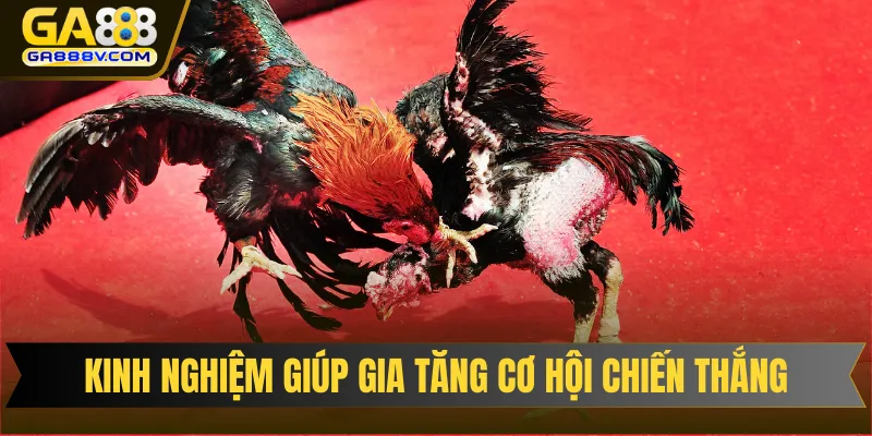 Kinh nghiệm giúp thành viên gia tăng cơ hội chiến thắng