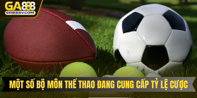 Một số bộ môn thể thao đang cung cấp tỷ lệ cược tại hệ thống