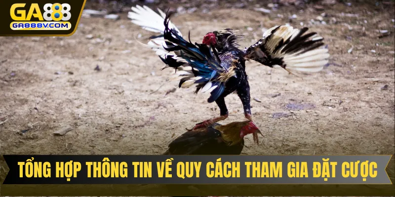 Tổng hợp thông tin về quy cách tham gia đặt cược